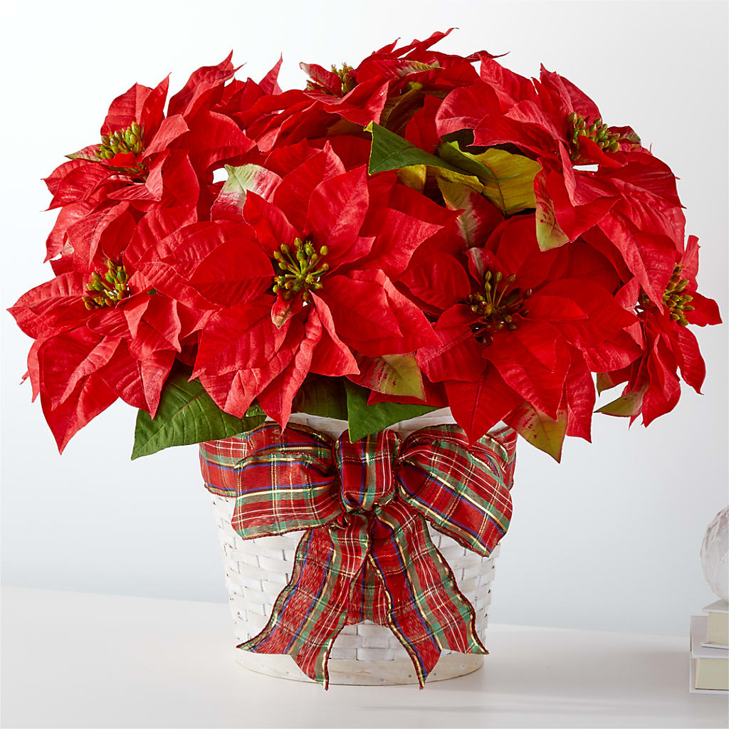 Happiest Holidays Poinsettia – Landers Flowers, Savannah MO