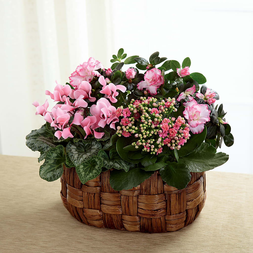 Pink Assortment – Landers Flowers, Savannah MO