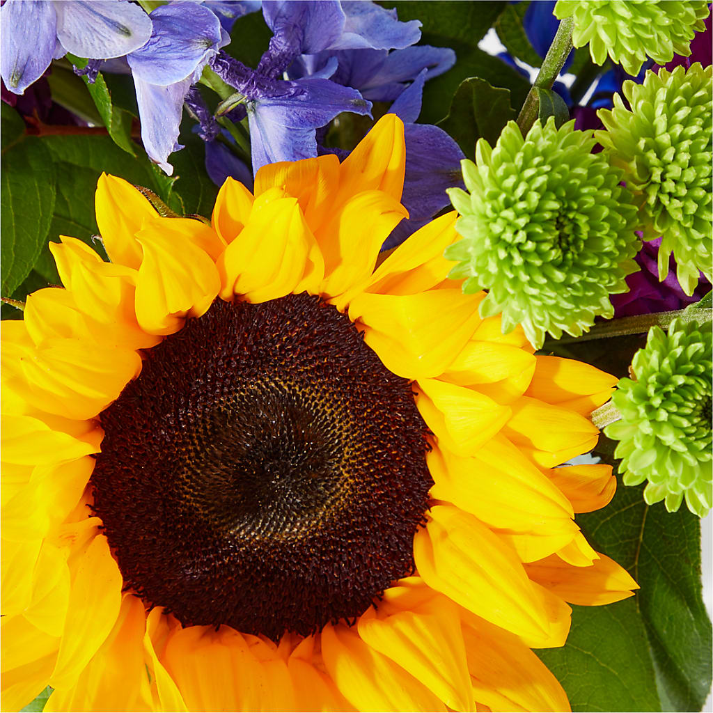 Catching Rays Bouquet – Landers Flowers, Savannah MO