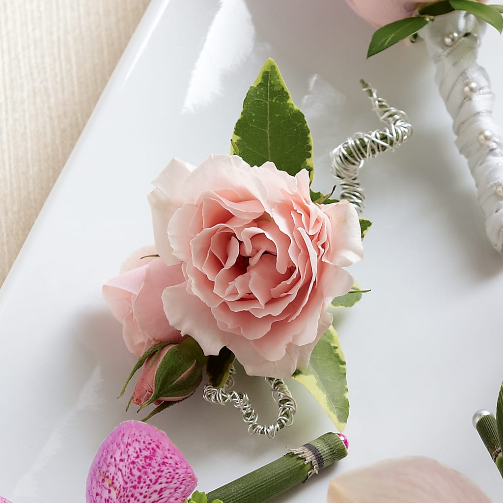 Pink Spray Rose Boutonniere – Landers Flowers, Savannah MO