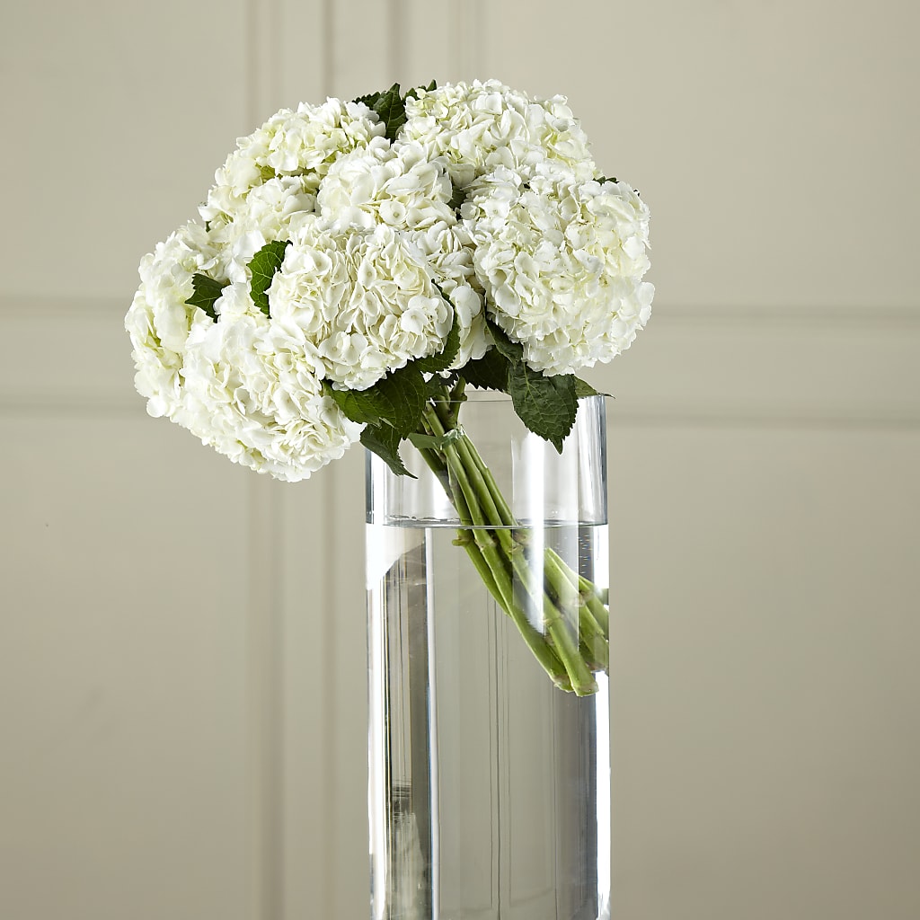 White Hydrangea Hand-Tied Bouquet – Landers Flowers, Savannah MO
