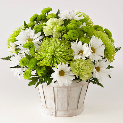 Lucky Charm Basket (Standard) –  Landers Flowers, Savannah MO