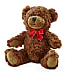 Adorable Plush Bear –  Landers Flowers, Savannah MO