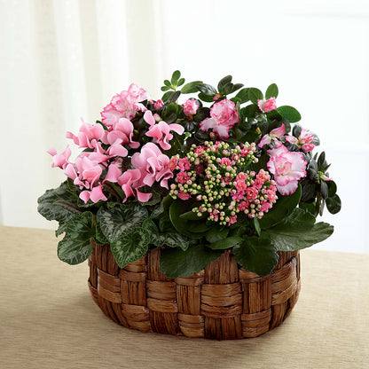 Pink Assortment –  Landers Flowers, Savannah MO