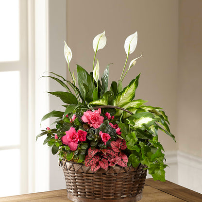 Dream in Pink Dishgarden –  Landers Flowers, Savannah MO