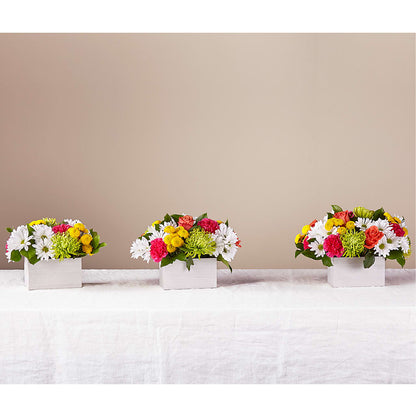 Sorbet Bouquet –  Landers Flowers, Savannah MO