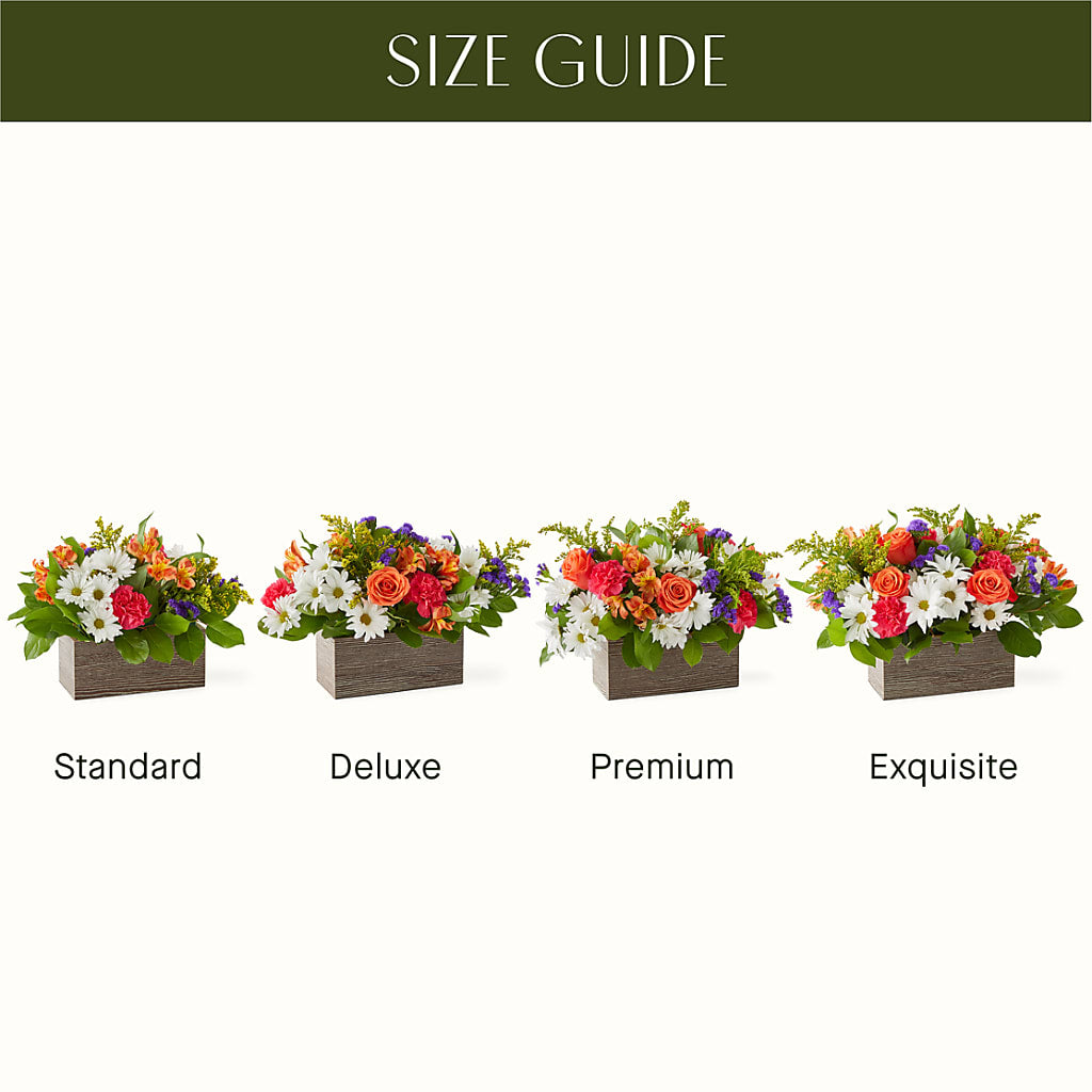 Oopsie Daisy Box Bouquet –  Landers Flowers, Savannah MO