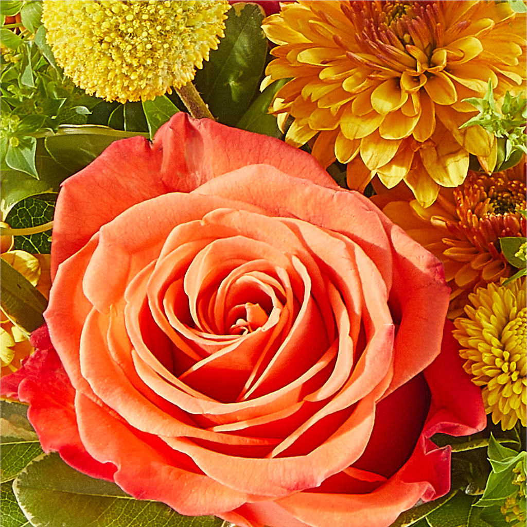 Gourdgeous Pumpkin –  Landers Flowers, Savannah MO