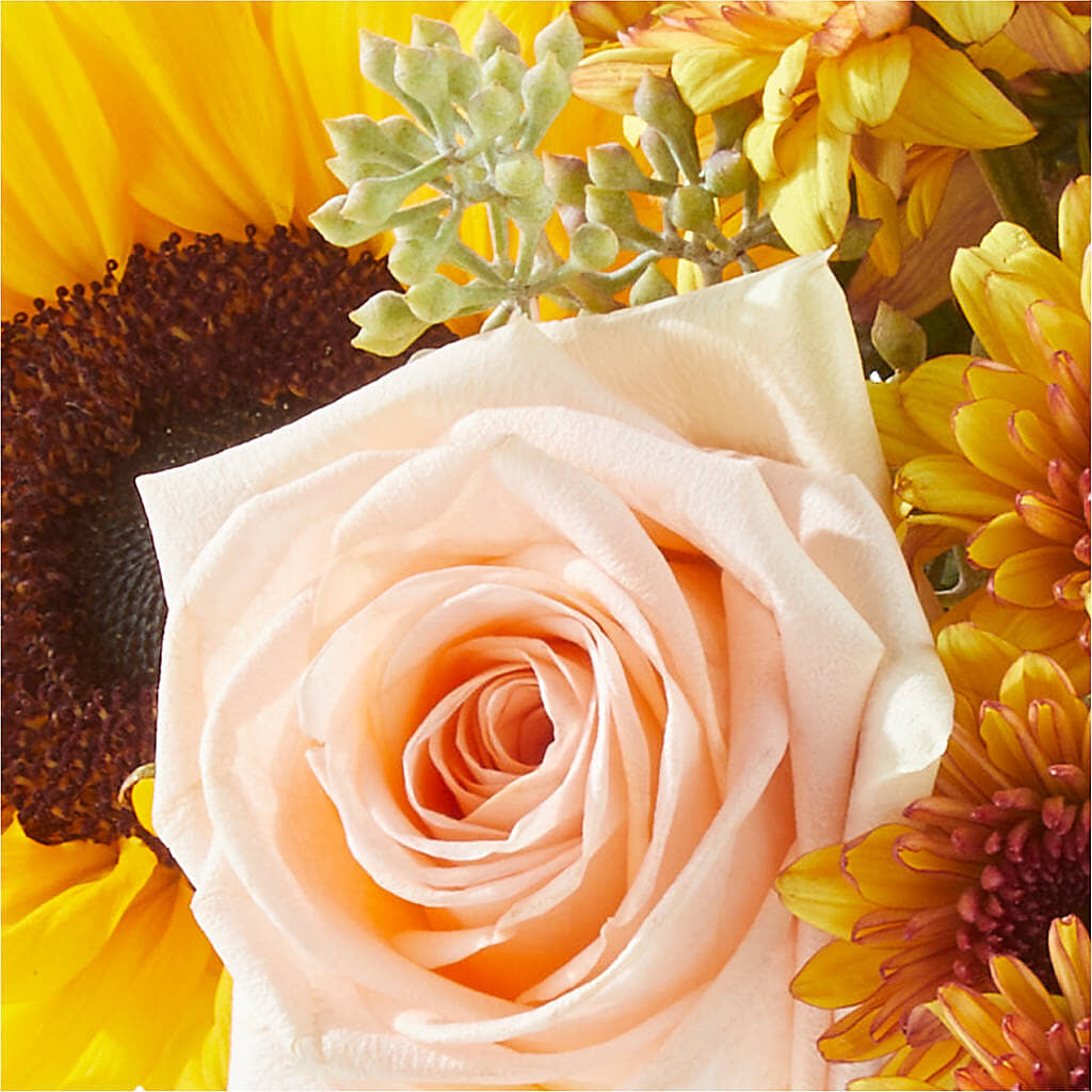 Pumpkin to Talk About Bouquet –  Landers Flowers, Savannah MO
