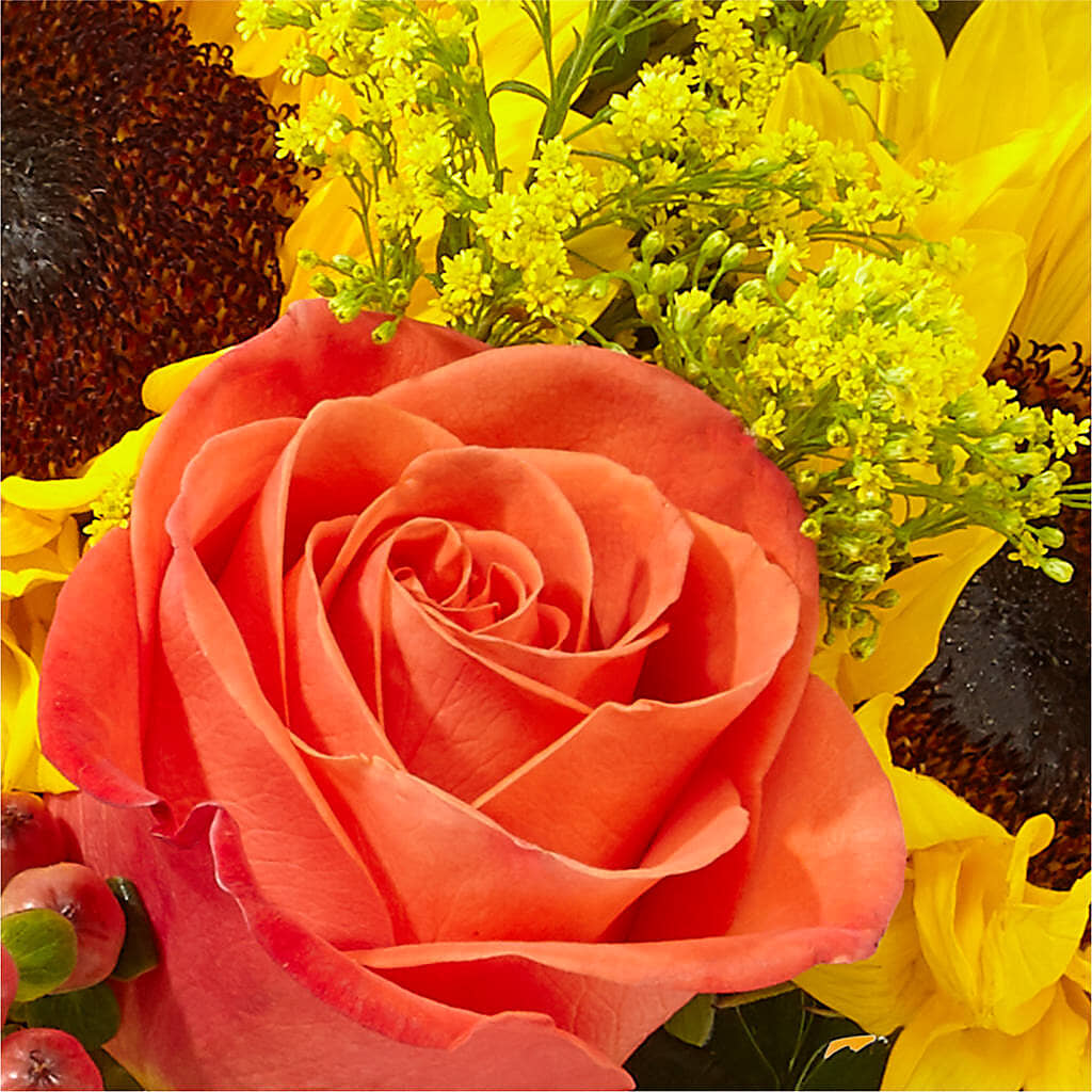 Pick of the Patch Pumpkin Bouquet –  Landers Flowers, Savannah MO