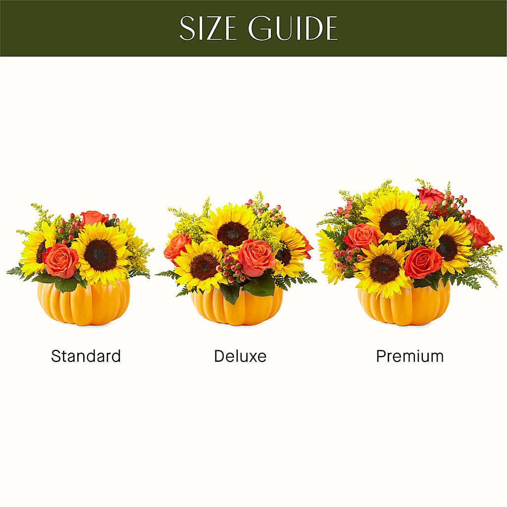 Pick of the Patch Pumpkin Bouquet –  Landers Flowers, Savannah MO