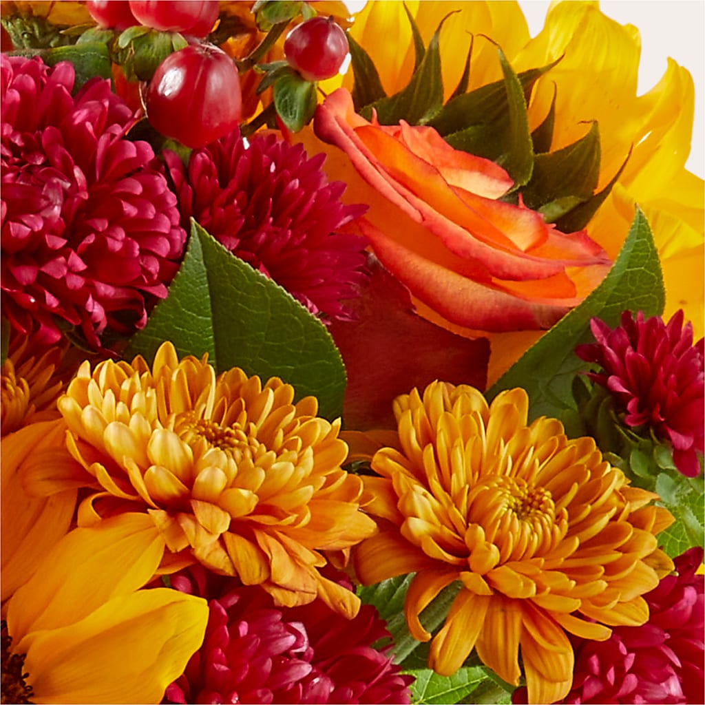 Sweater Season - A Florist Original –  Landers Flowers, Savannah MO