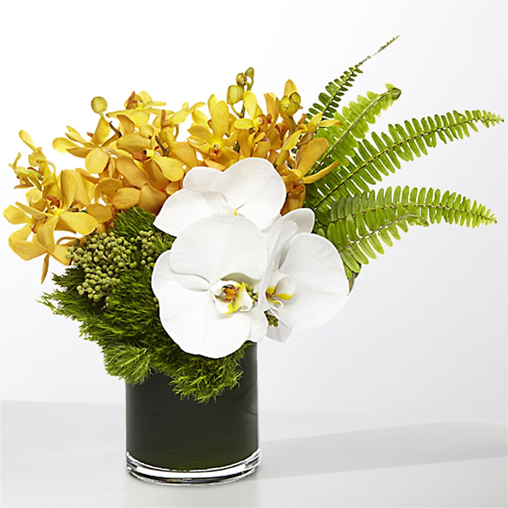 The Tropics –  Landers Flowers, Savannah MO