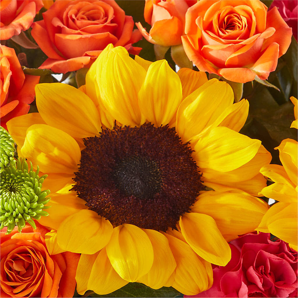 Sun-drenched Blooms Box Bouquet –  Landers Flowers, Savannah MO