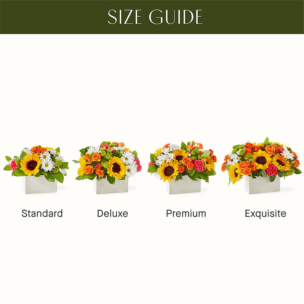 Sun-drenched Blooms Box Bouquet –  Landers Flowers, Savannah MO