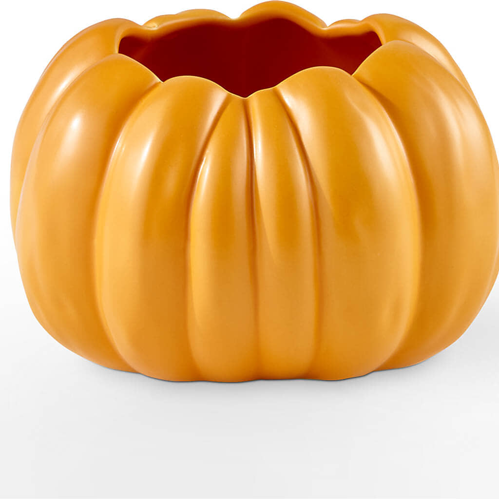 Golden Gourd Pumpkin Bouquet –  Landers Flowers, Savannah MO