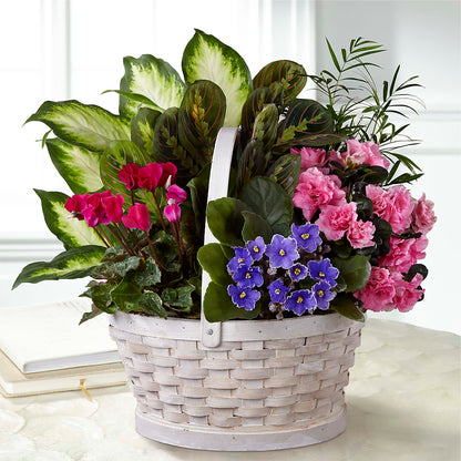 Peaceful Garden Planter –  Landers Flowers, Savannah MO