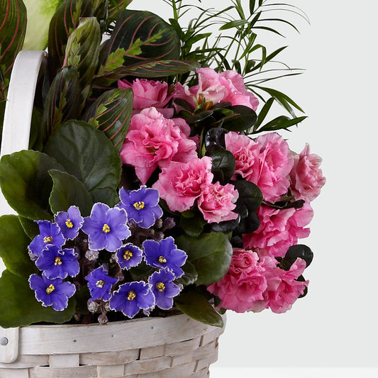 Peaceful Garden Planter –  Landers Flowers, Savannah MO