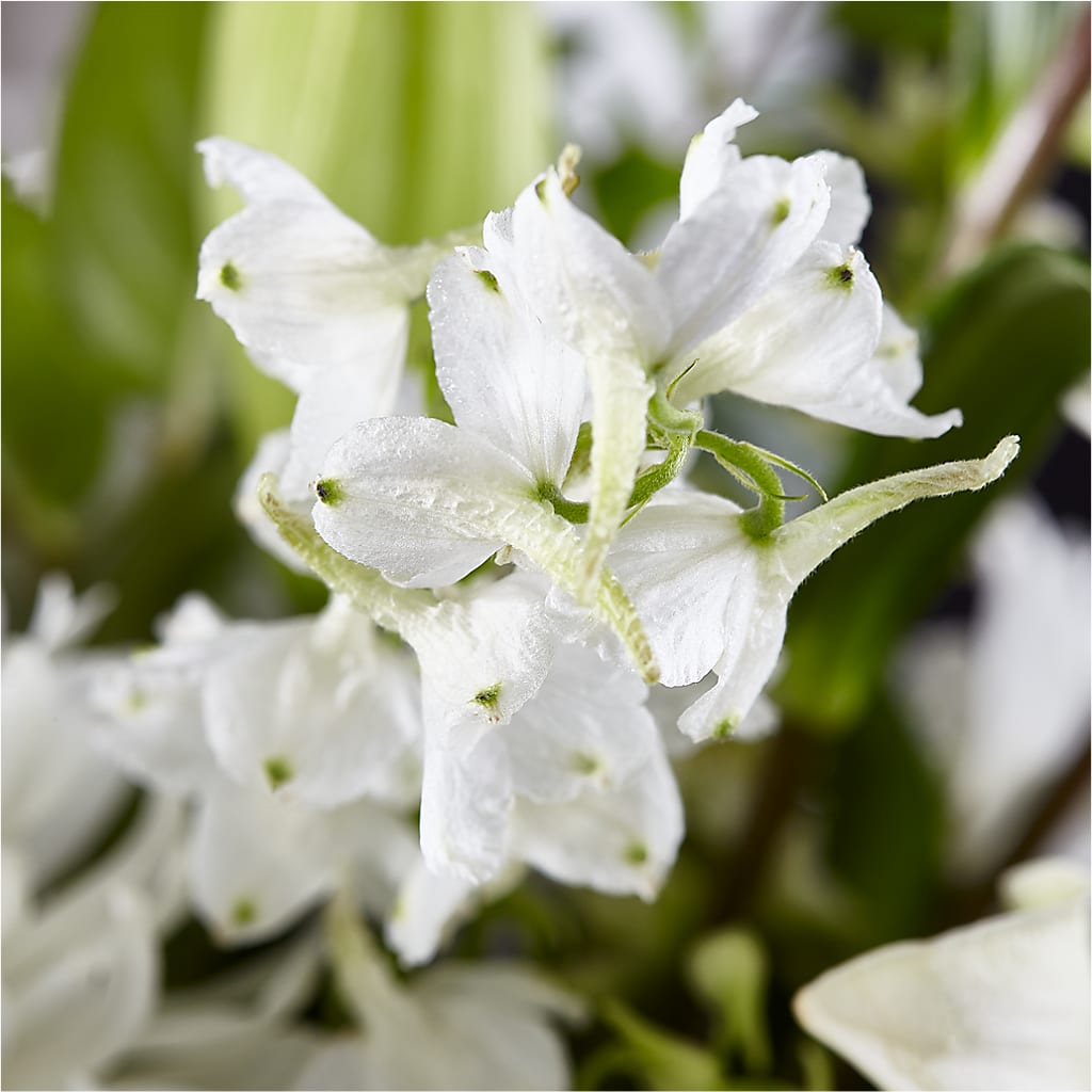 Classic Ivory – A Florist Original –  Landers Flowers, Savannah MO