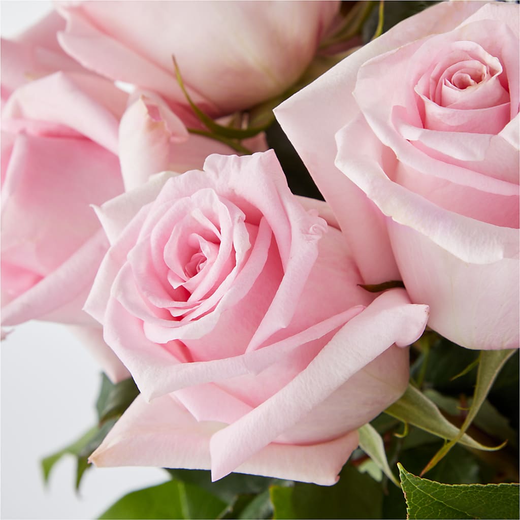 Picture Perfect Pink Rose Bouquet –  Landers Flowers, Savannah MO