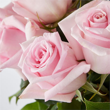 Picture Perfect Pink Rose Bouquet –  Landers Flowers, Savannah MO