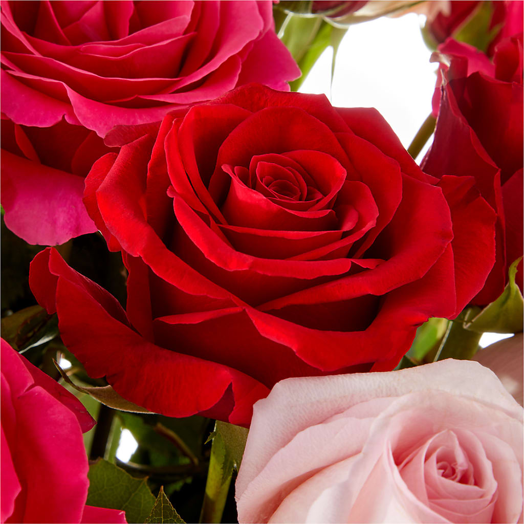 Love Notes Rose Bouquet –  Landers Flowers, Savannah MO