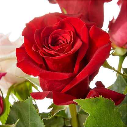 Love Notes Rose Bouquet –  Landers Flowers, Savannah MO