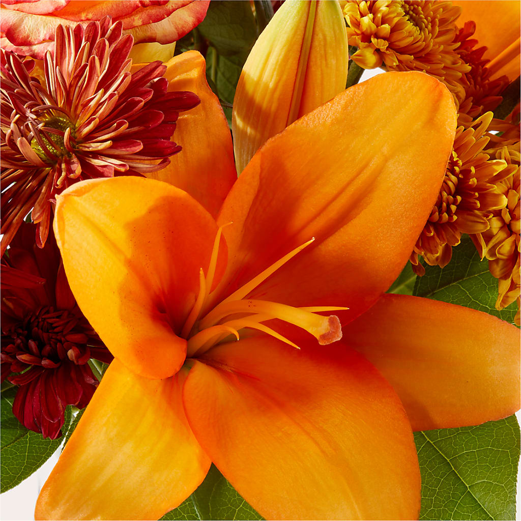 Autumnal Aroma Bouquet –  Landers Flowers, Savannah MO
