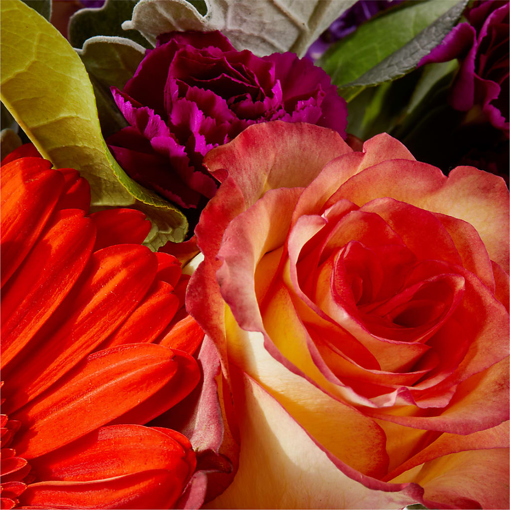 Sangria Bouquet –  Landers Flowers, Savannah MO