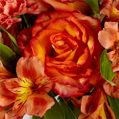 Apricot Glow Bouquet –  Landers Flowers, Savannah MO