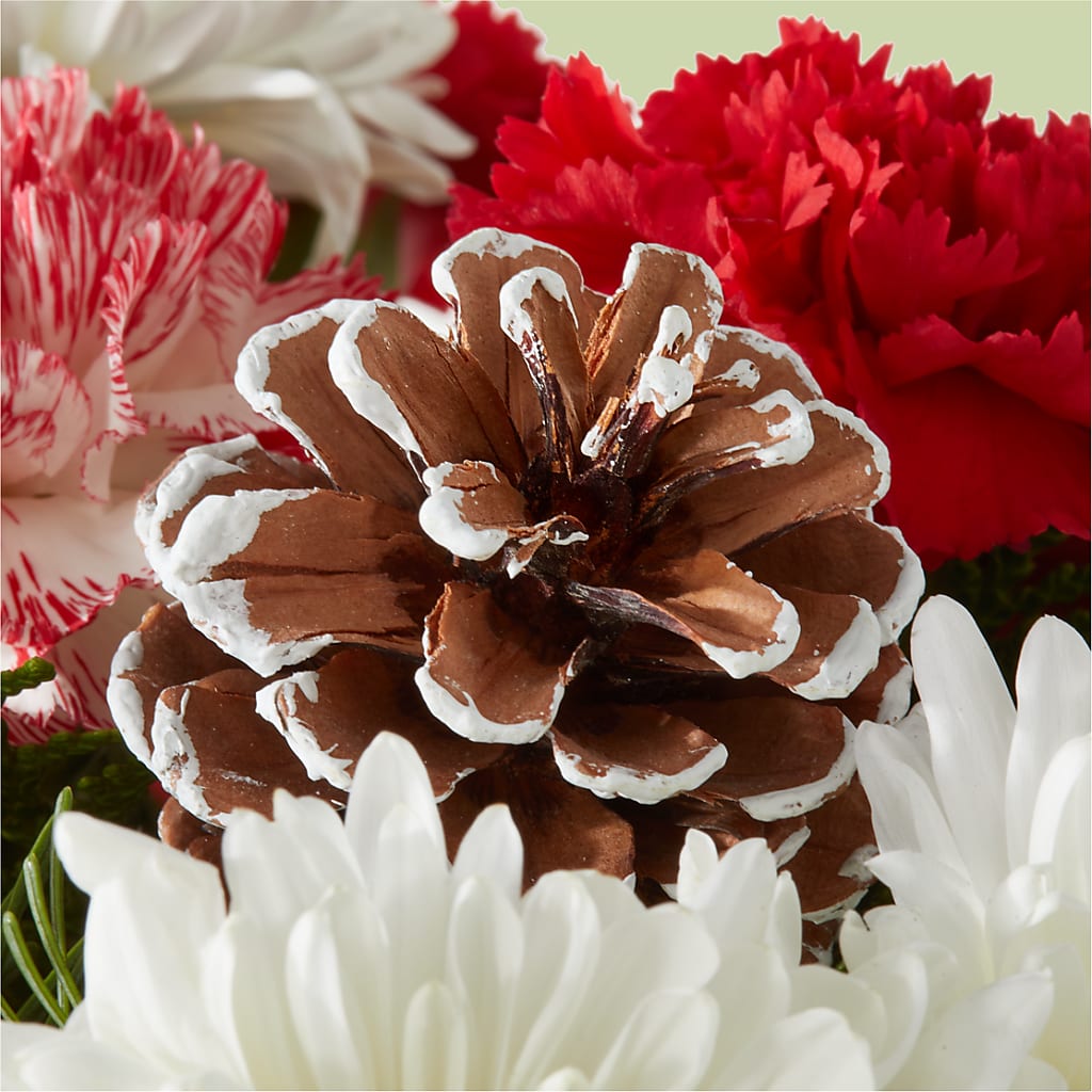 Candy Cane Lane Bouquet –  Landers Flowers, Savannah MO