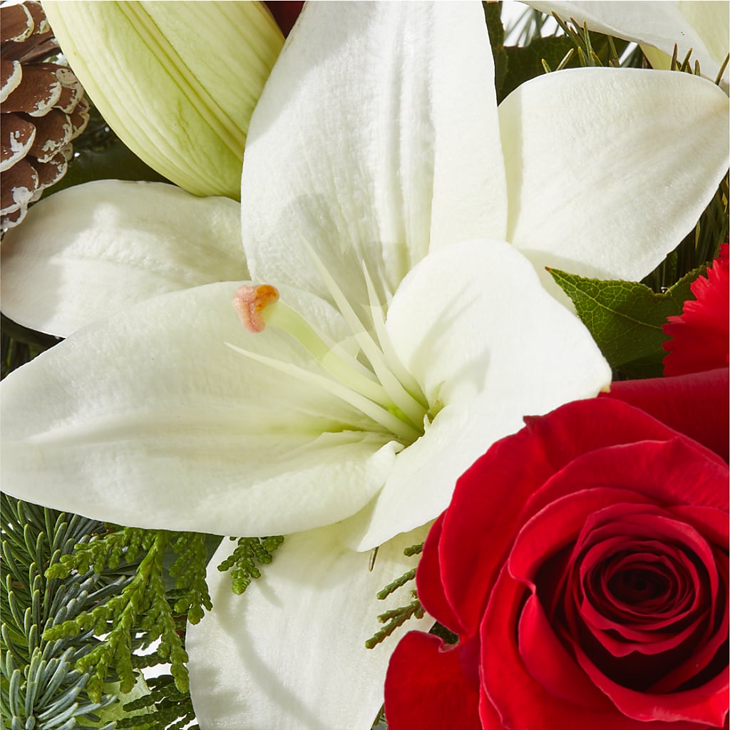 Oh So Jolly Bouquet –  Landers Flowers, Savannah MO