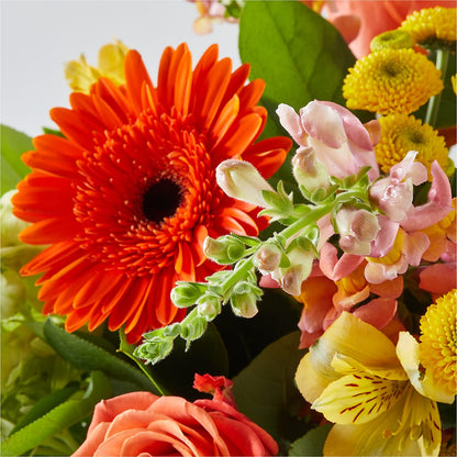 Autumn Sunshine Bouquet –  Landers Flowers, Savannah MO