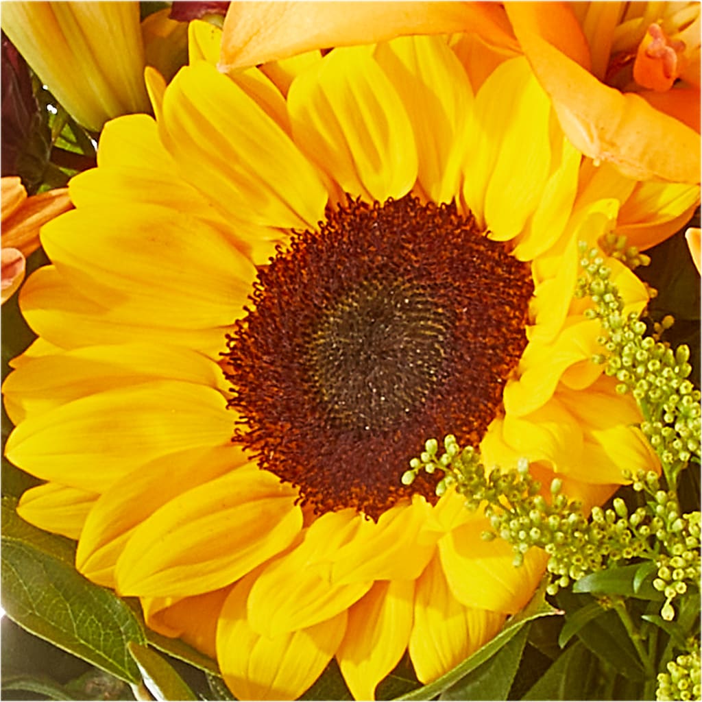 Seasons Change Bouquet –  Landers Flowers, Savannah MO