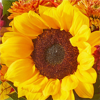Sunny Side Bouquet –  Landers Flowers, Savannah MO