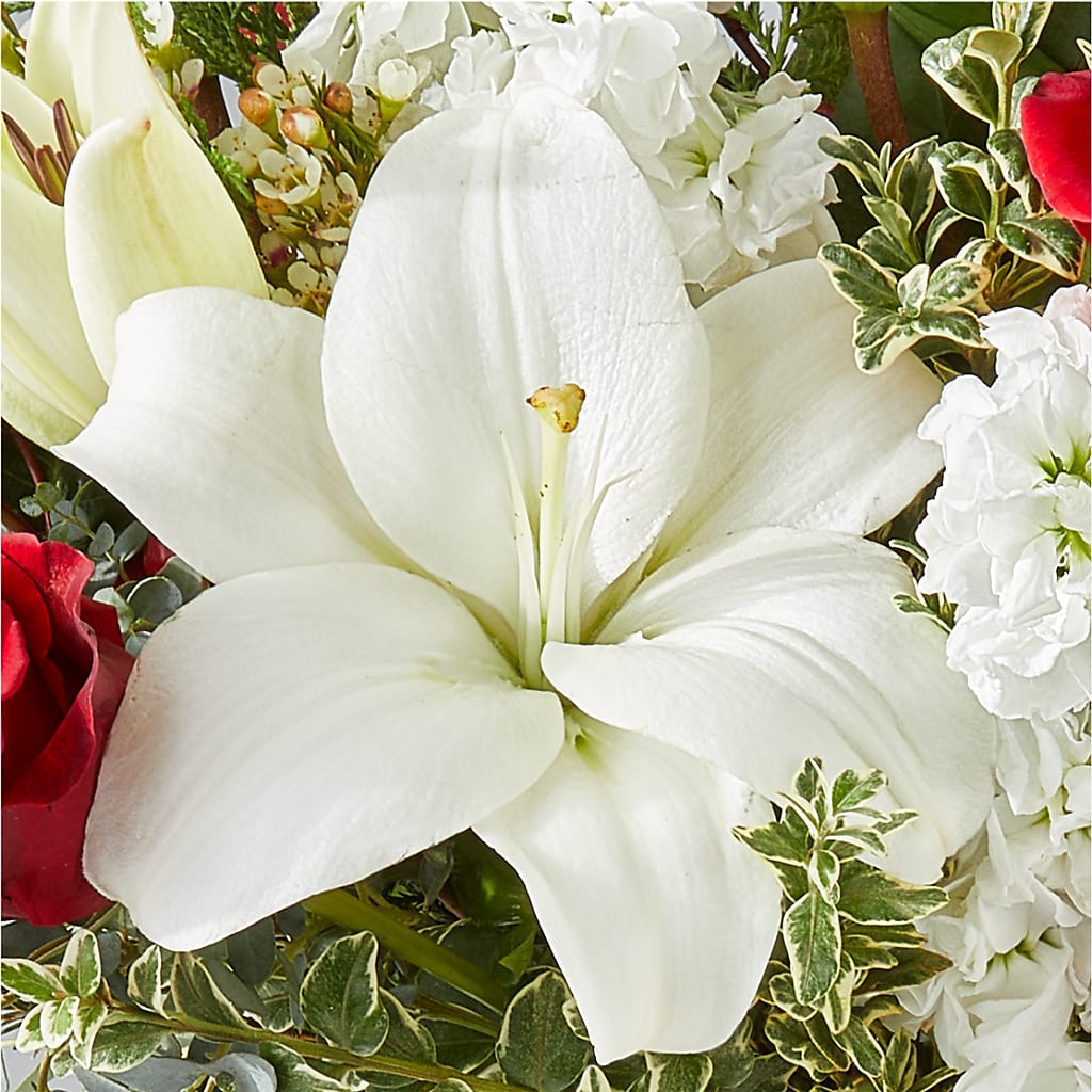 Twinkle Lights Bouquet –  Landers Flowers, Savannah MO