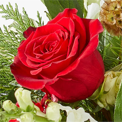 Deck the Halls Bouquet –  Landers Flowers, Savannah MO
