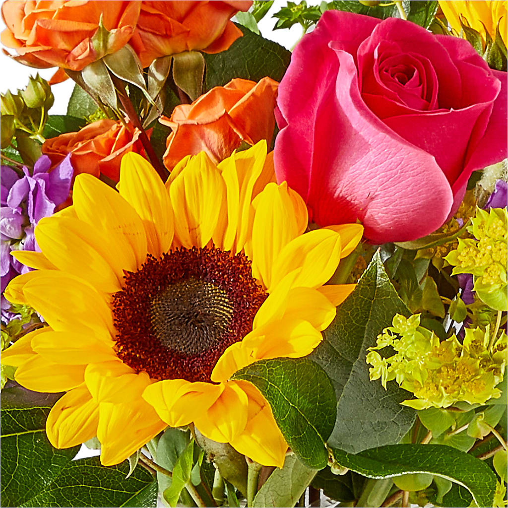 Vibrant Greetings Bouquet –  Landers Flowers, Savannah MO