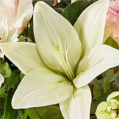 Ballet Slippers Bouquet –  Landers Flowers, Savannah MO
