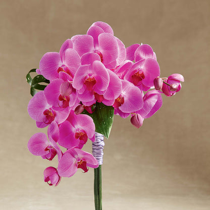 Glorious Bouquet –  Landers Flowers, Savannah MO