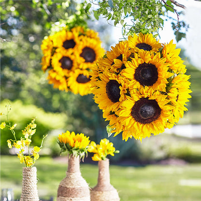 Sublime Garden Hanging Arrangement –  Landers Flowers, Savannah MO