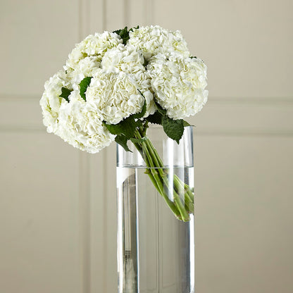 White Hydrangea Hand-Tied Bouquet –  Landers Flowers, Savannah MO