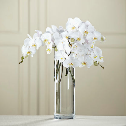 White Phalaenopsis Bouquet –  Landers Flowers, Savannah MO